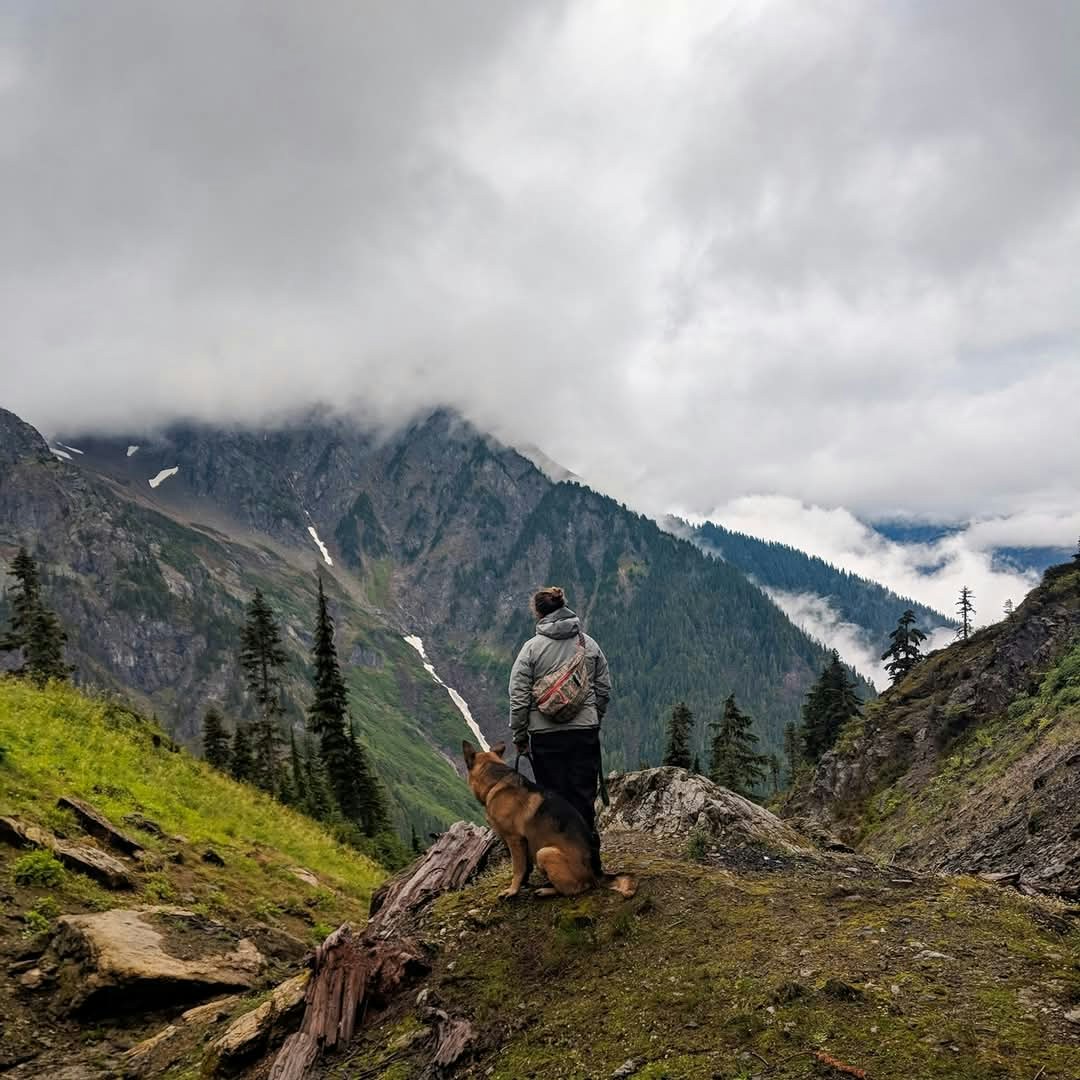 Go to Chelsea Robinson's profile