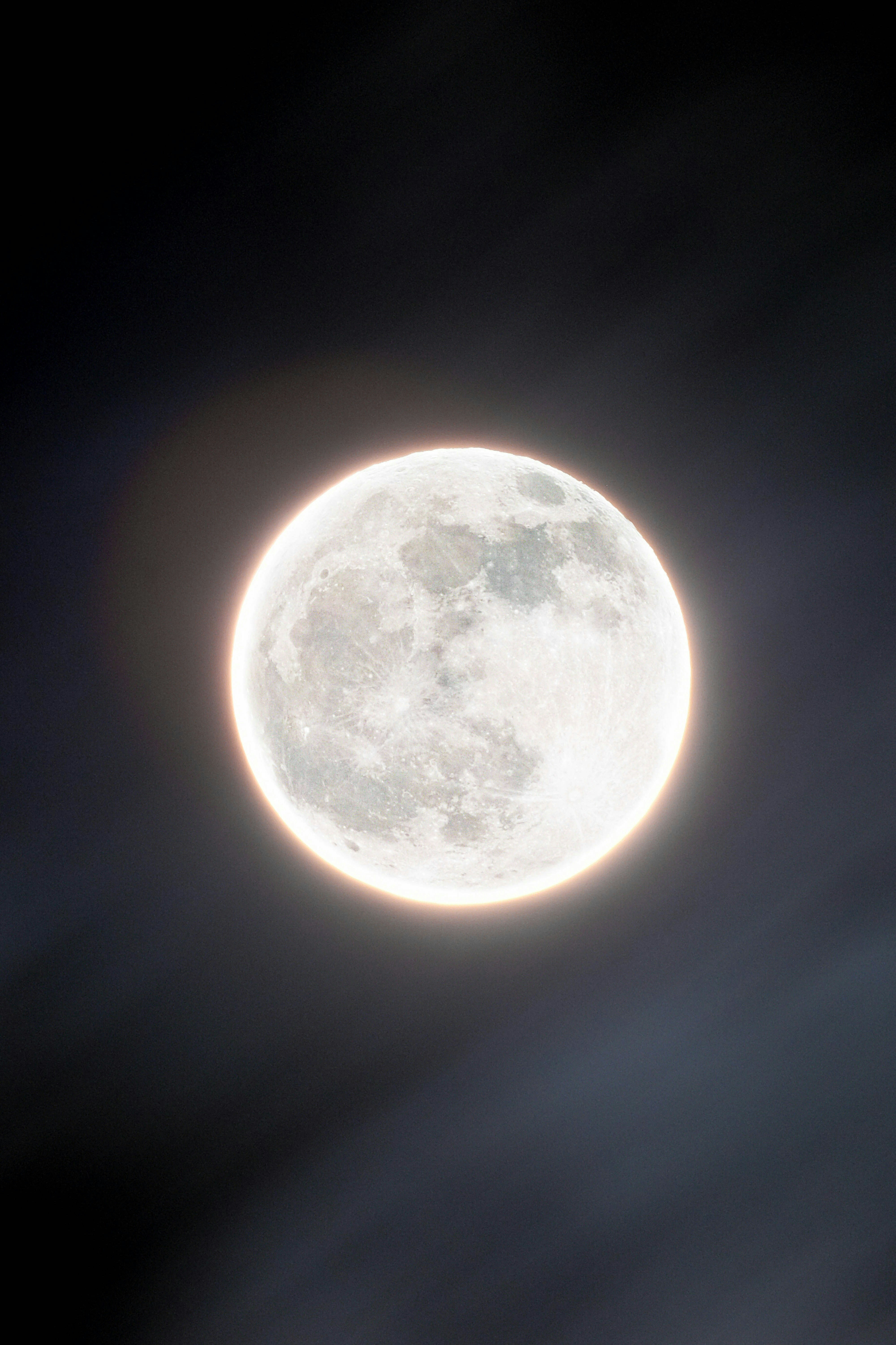 Go to The Gallery's profile