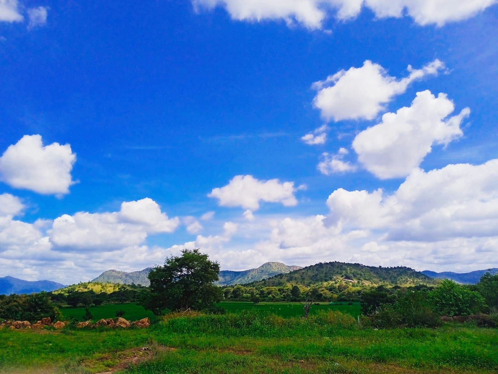 Go to Anushree U's profile