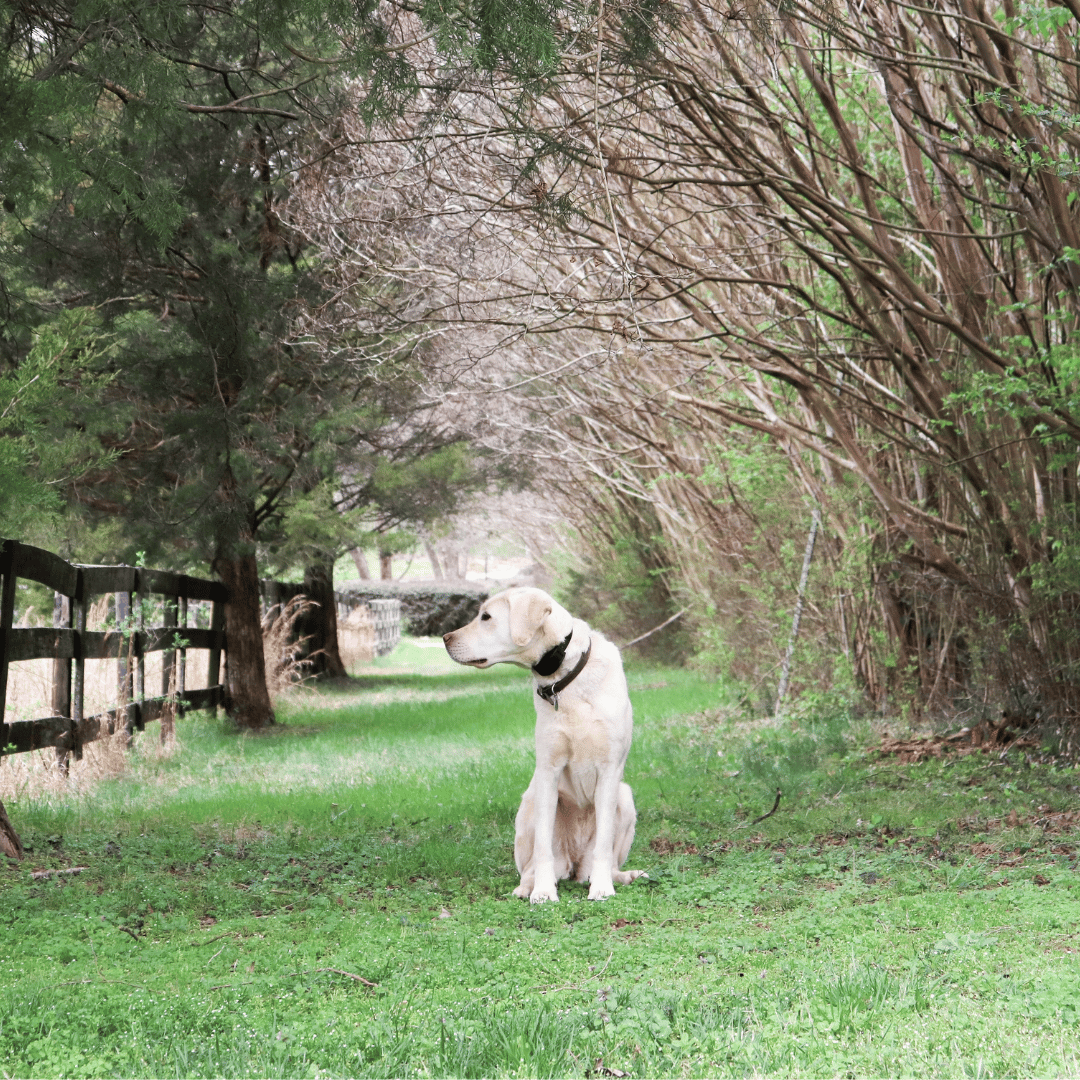 Go to Laura Roberts's profile