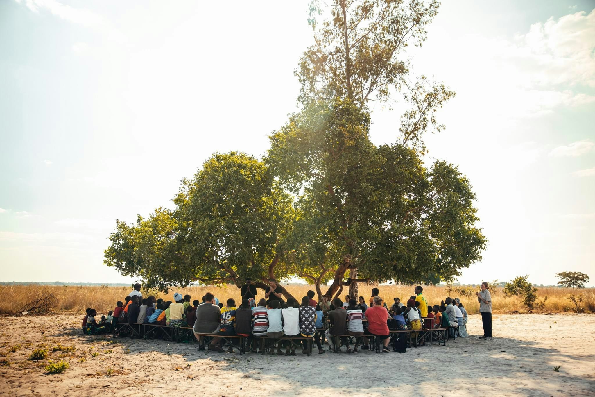 Zum Profil von Waldo Kleyn