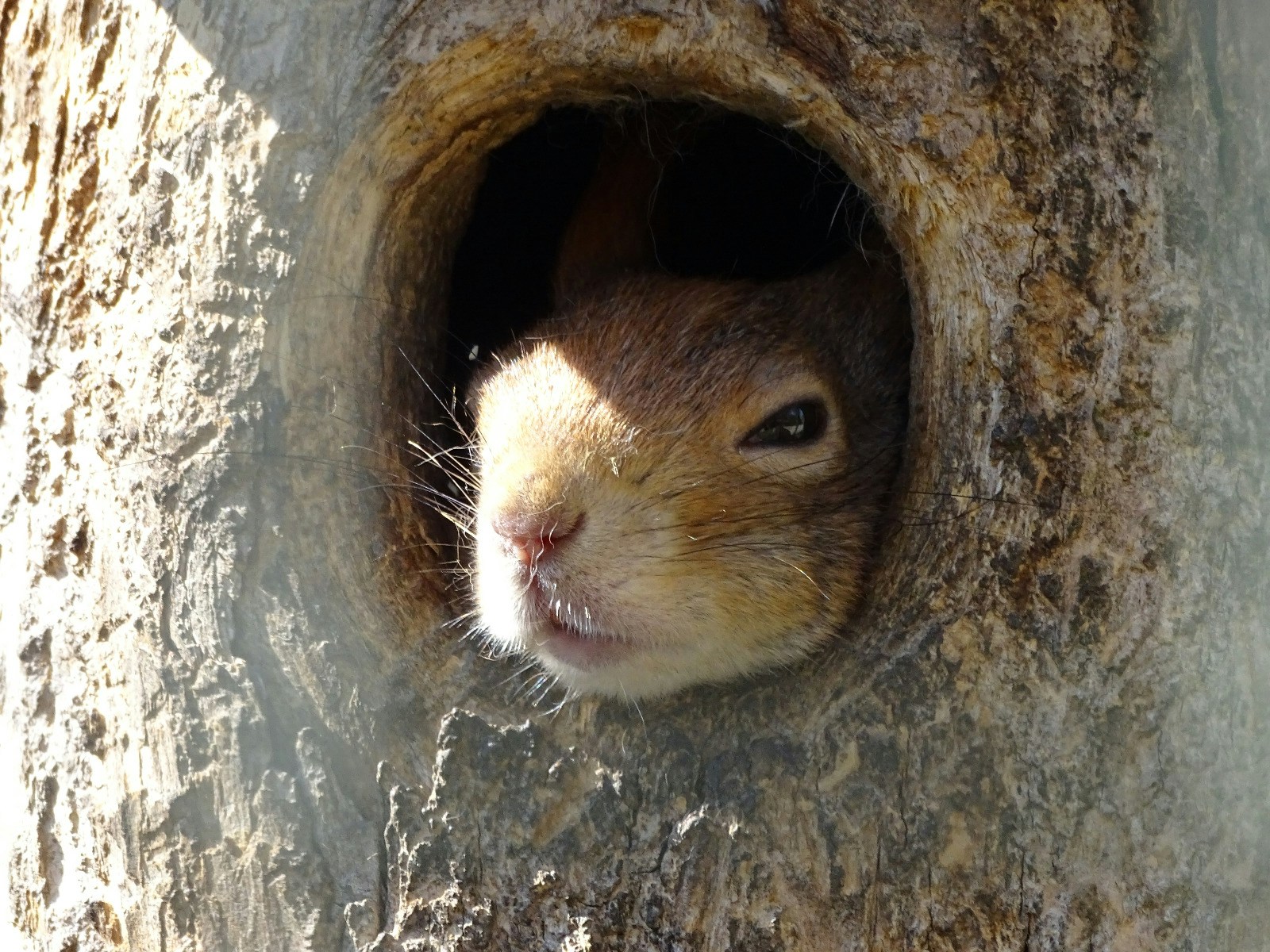 Accéder au profil de Themi
