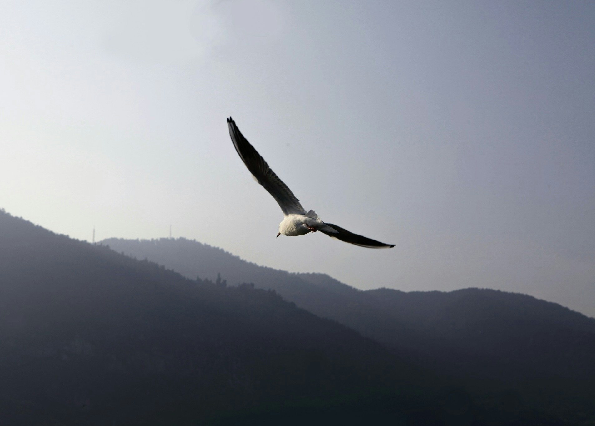 Go to Solomon Yu's profile