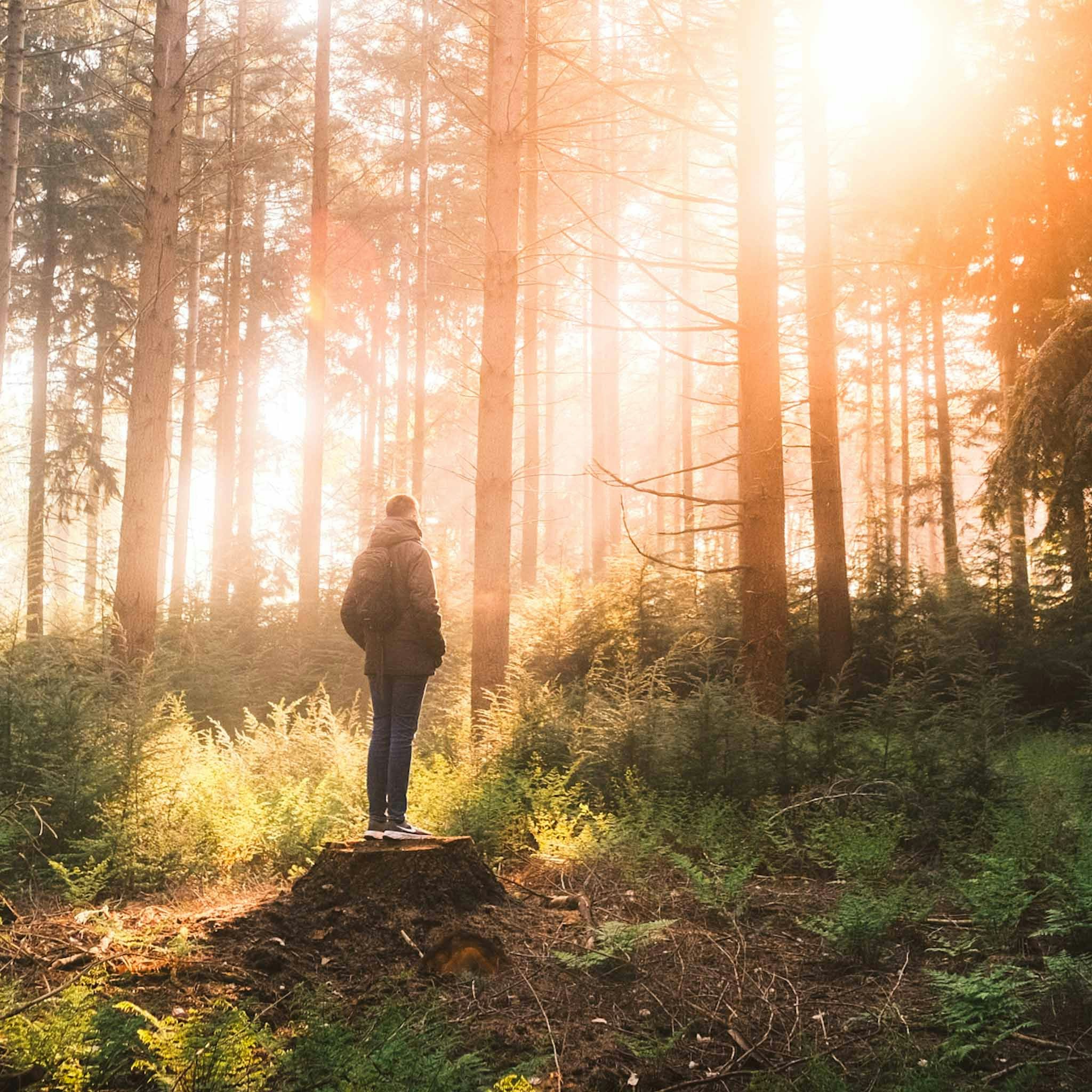 Ve al perfil de Ingmar H