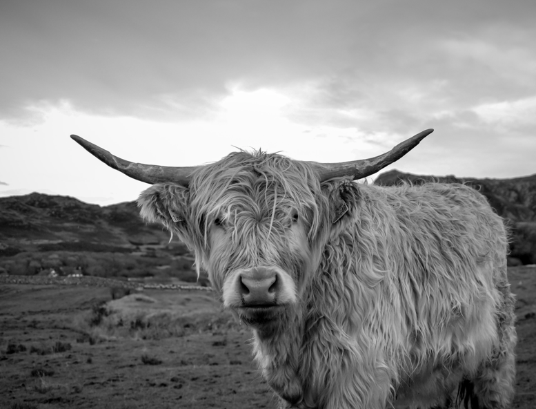 Go to Victor Bouton's profile