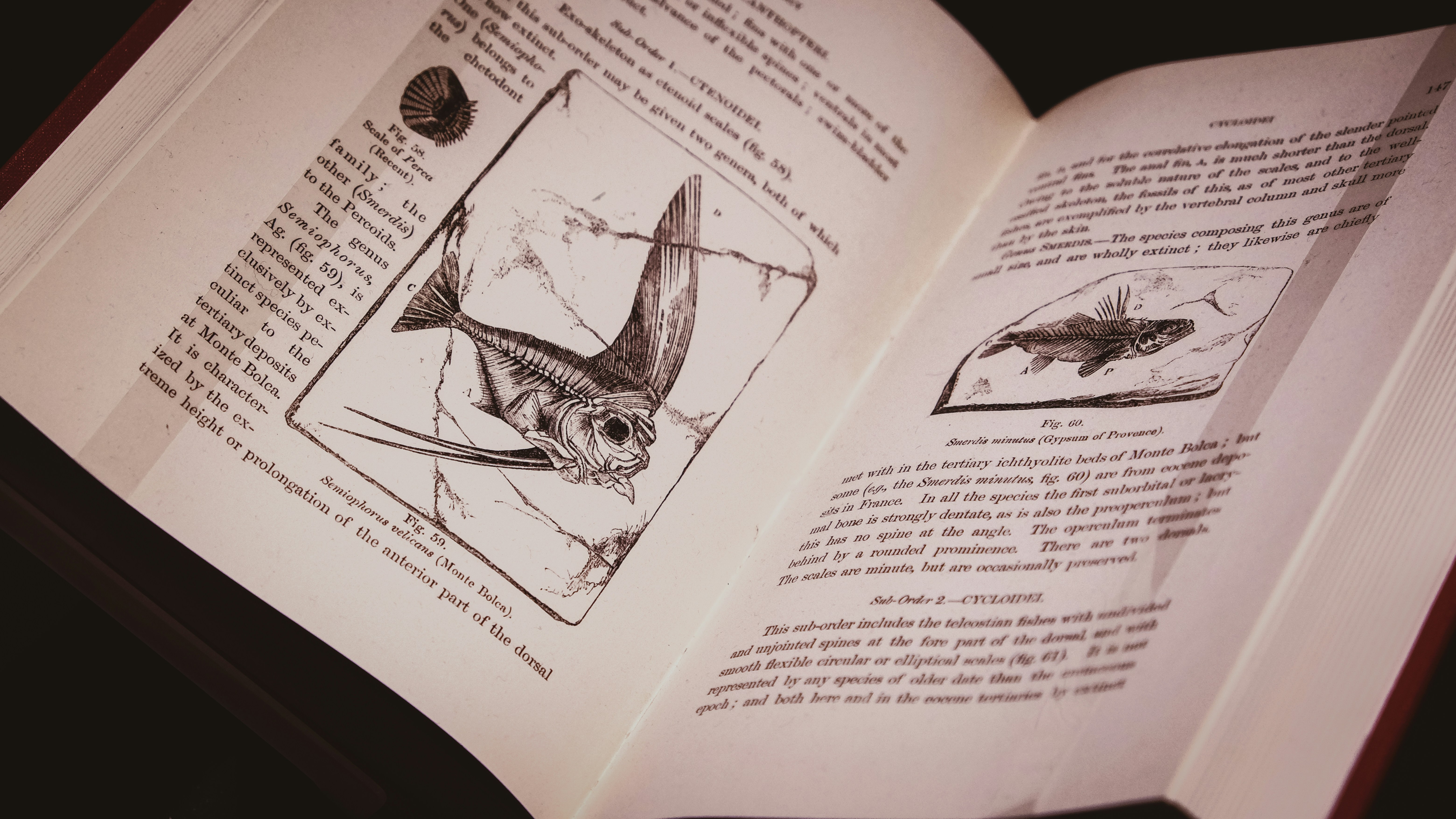 Go to Jun Zhu's profile