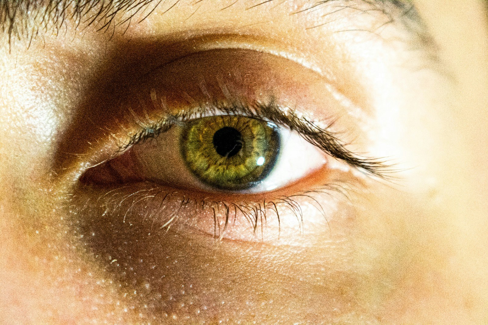 Go to Doğukan Ata Öksüzoğlu's profile