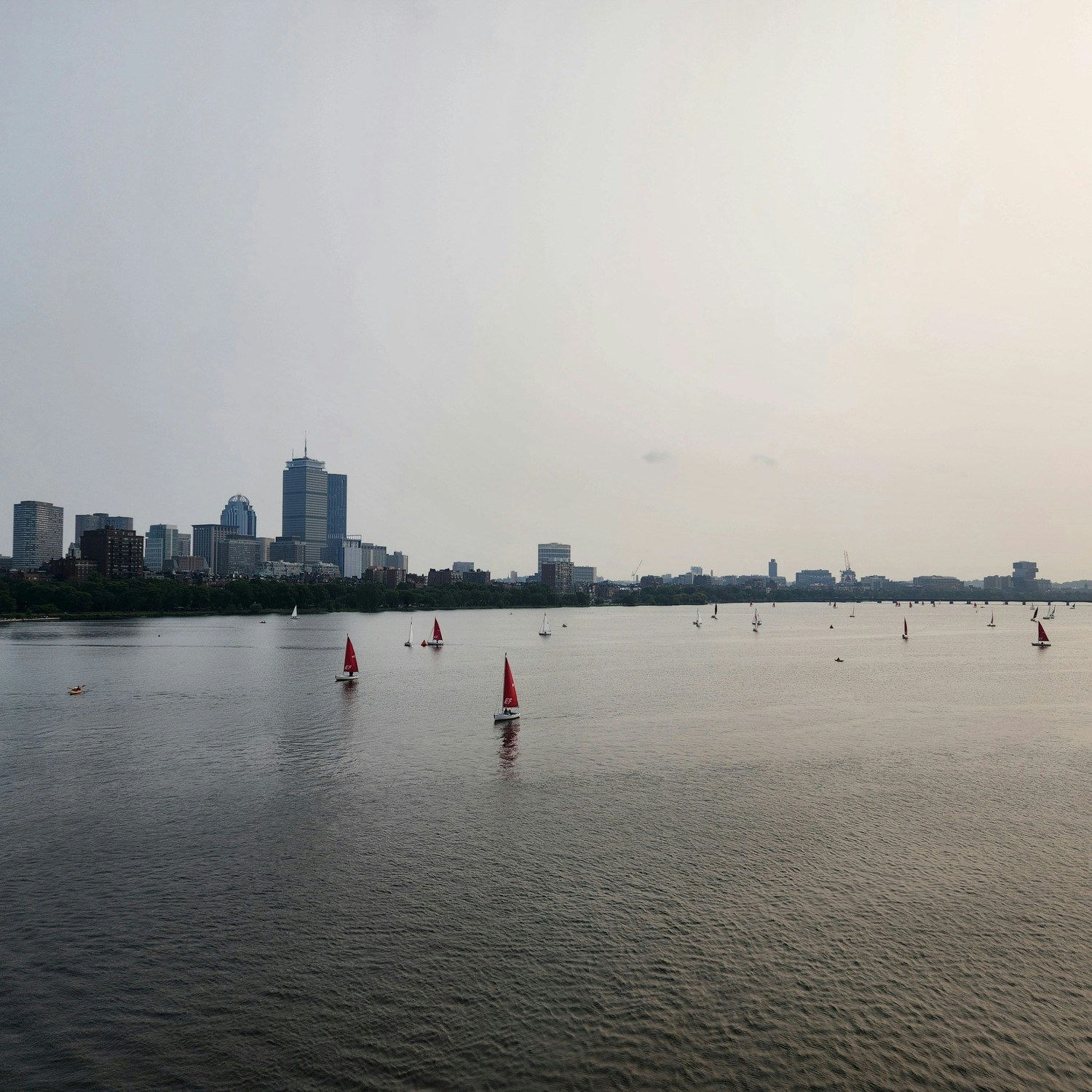 Go to Rebekah Che's profile