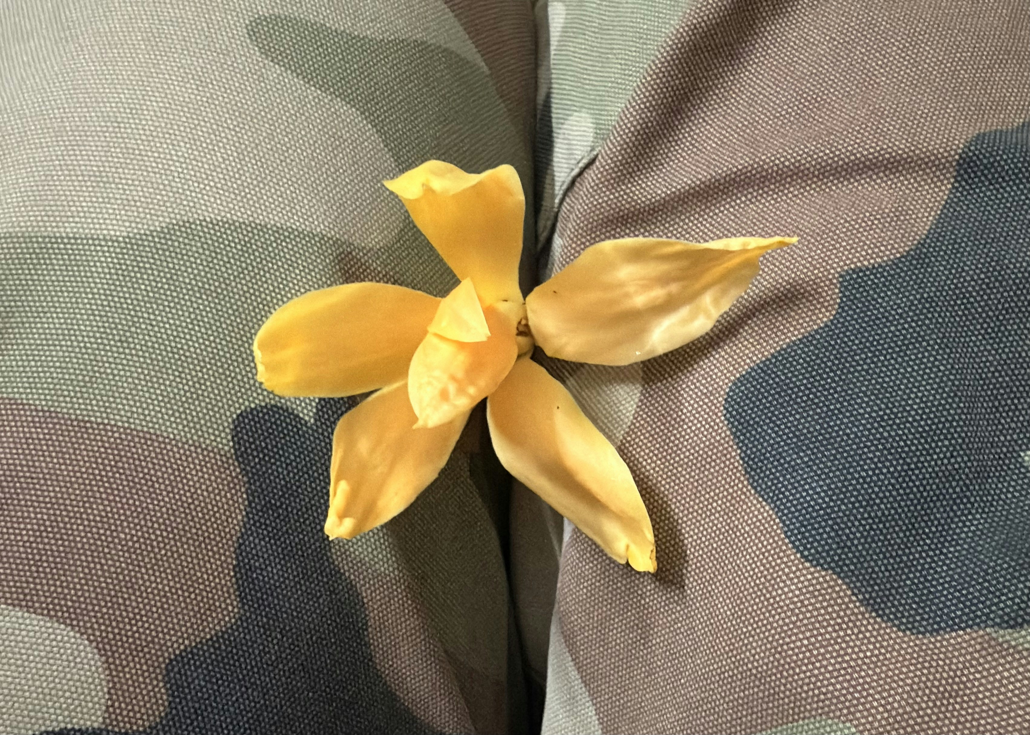 Go to Andy Singh's profile