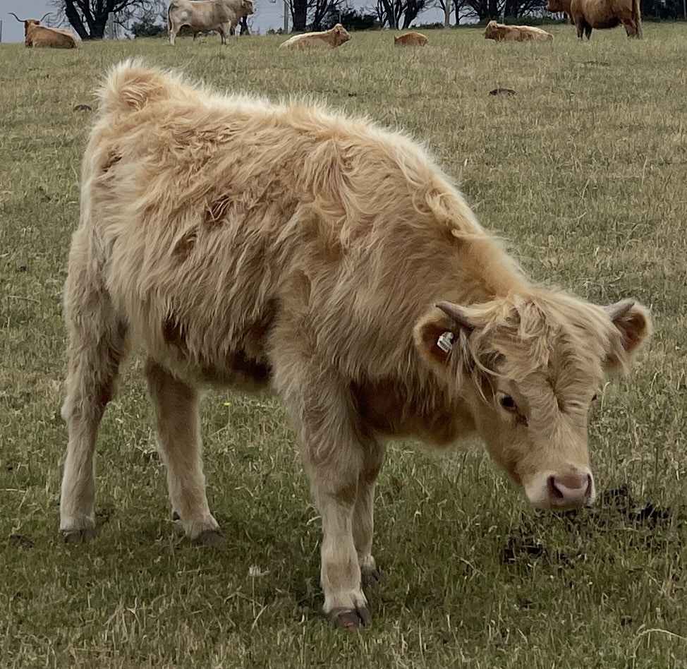 Daphne L의 프로필로 이동