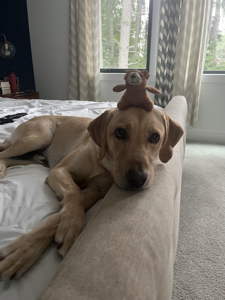 Go to darsh paul's profile