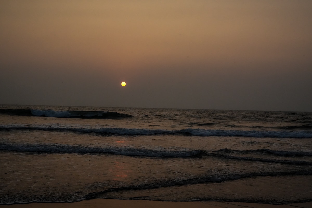 Go to Prakash Rao's profile