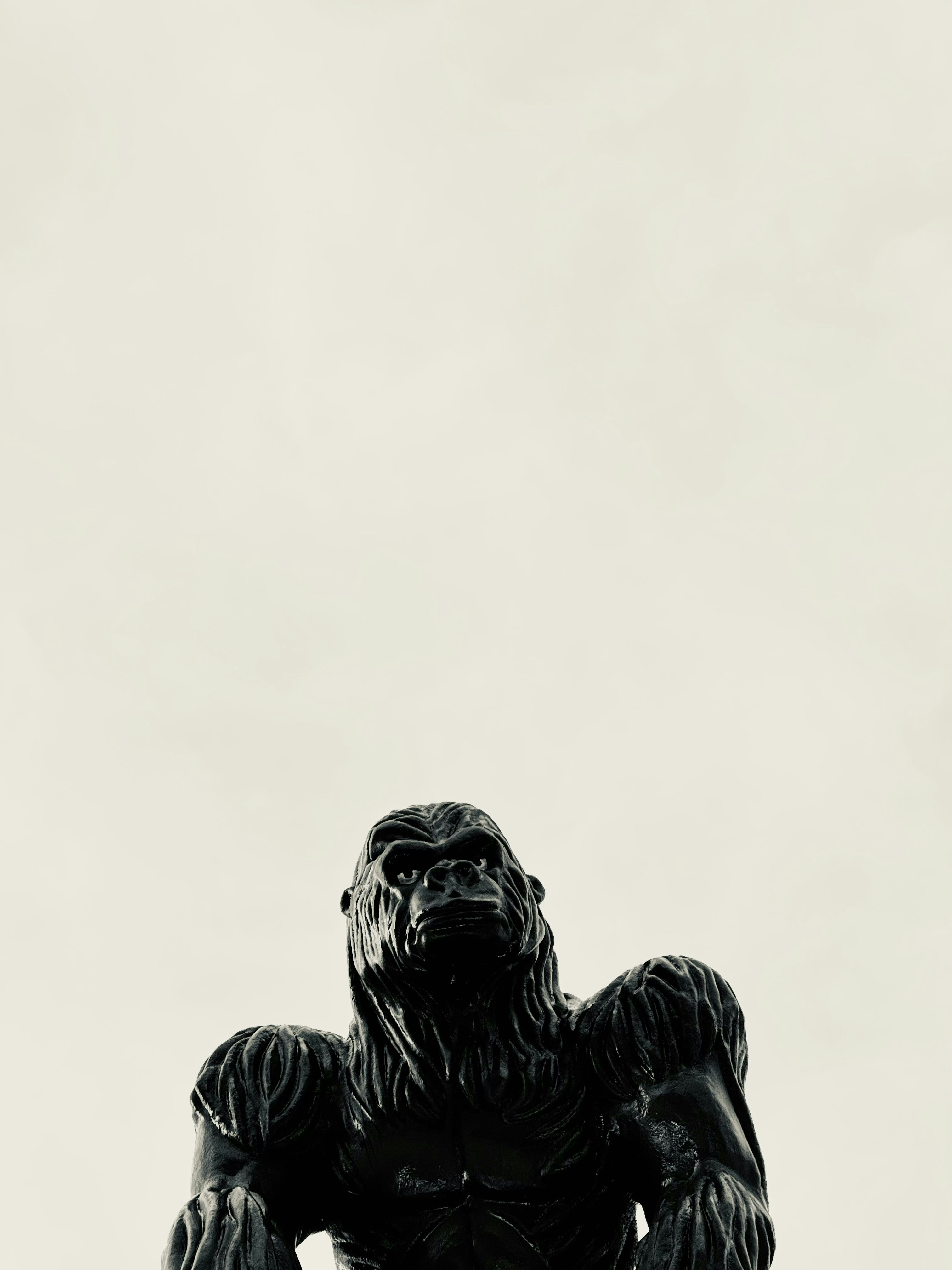 Go to Stefan H's profile