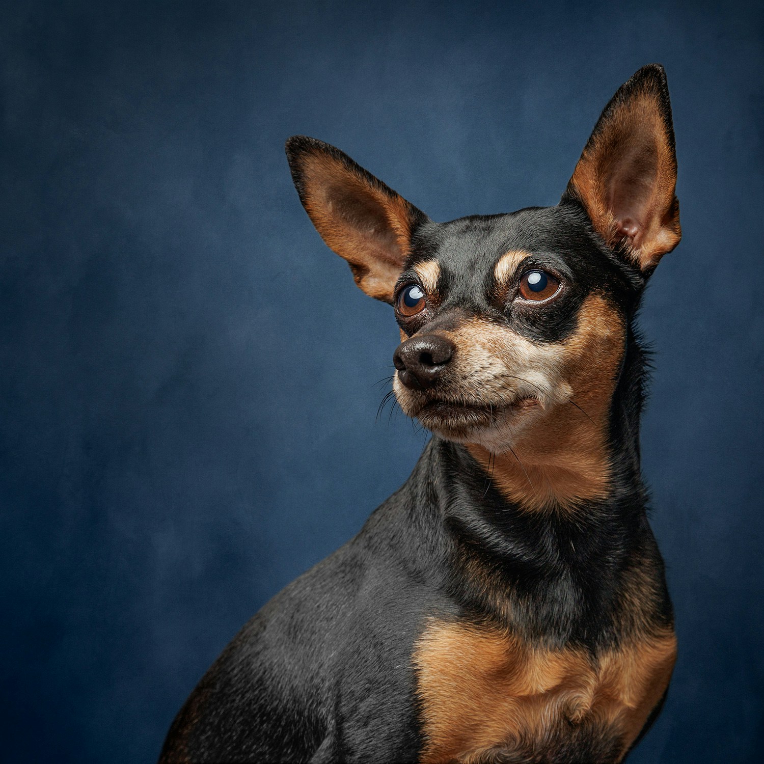 Ve al perfil de Amie Barron