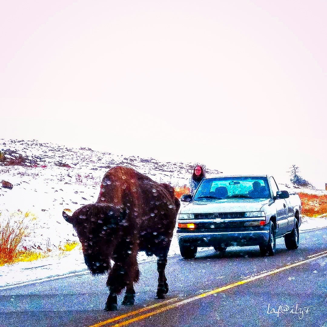 Go to Lillian Fisher's profile