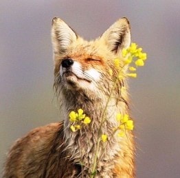 Go to Oksana Savinova's profile