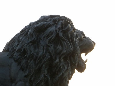 Go to Doug R. W. Dunigan's profile