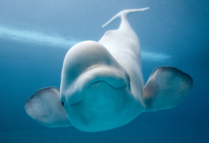 Go to Zidonito McBrain's profile