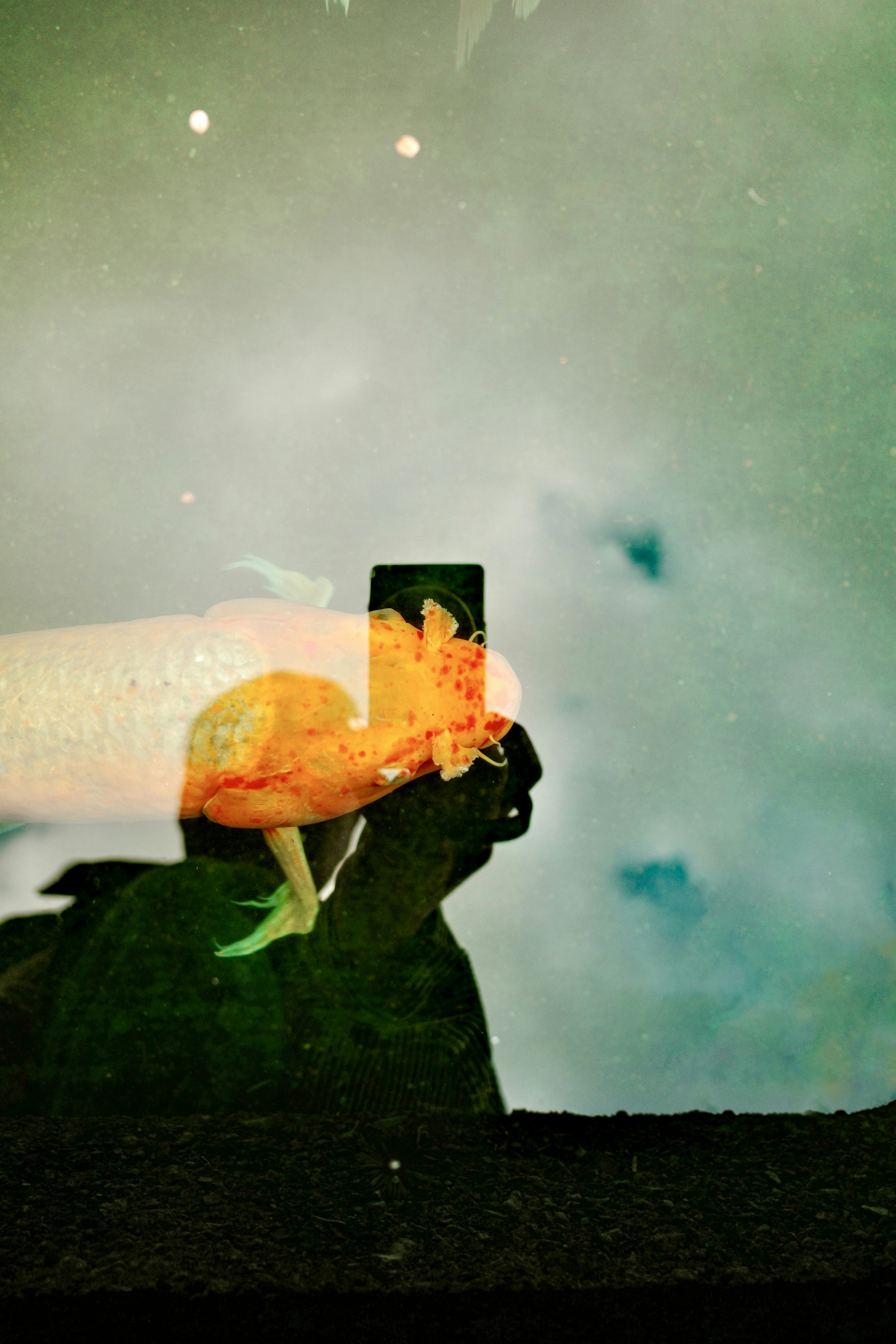 Go to Steven Chang's profile