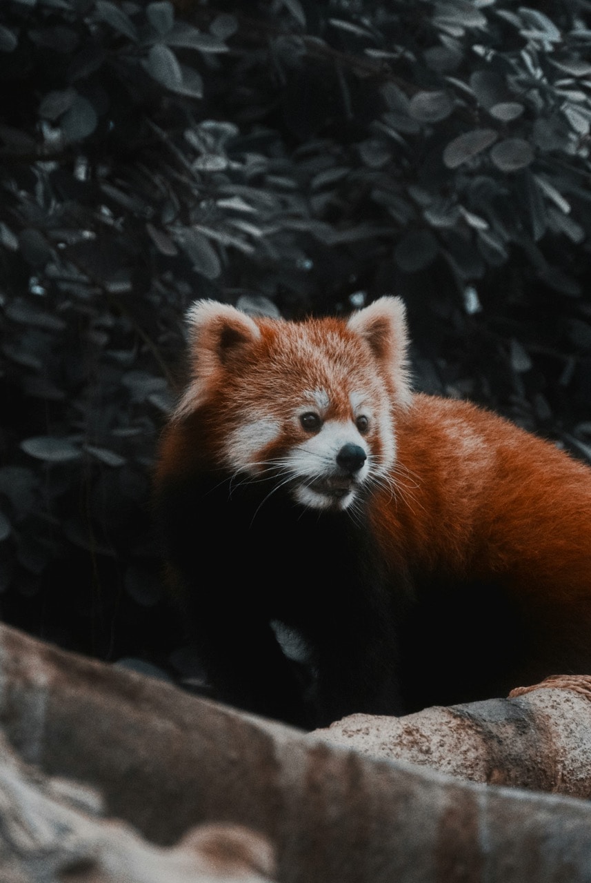 Zum Profil von Caspar Wai