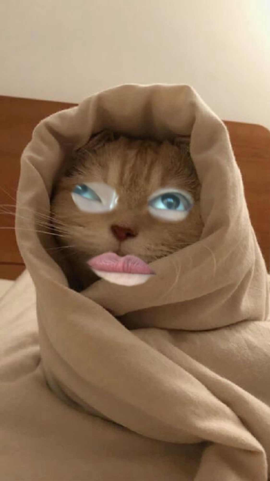 Avatar of user Celeste T