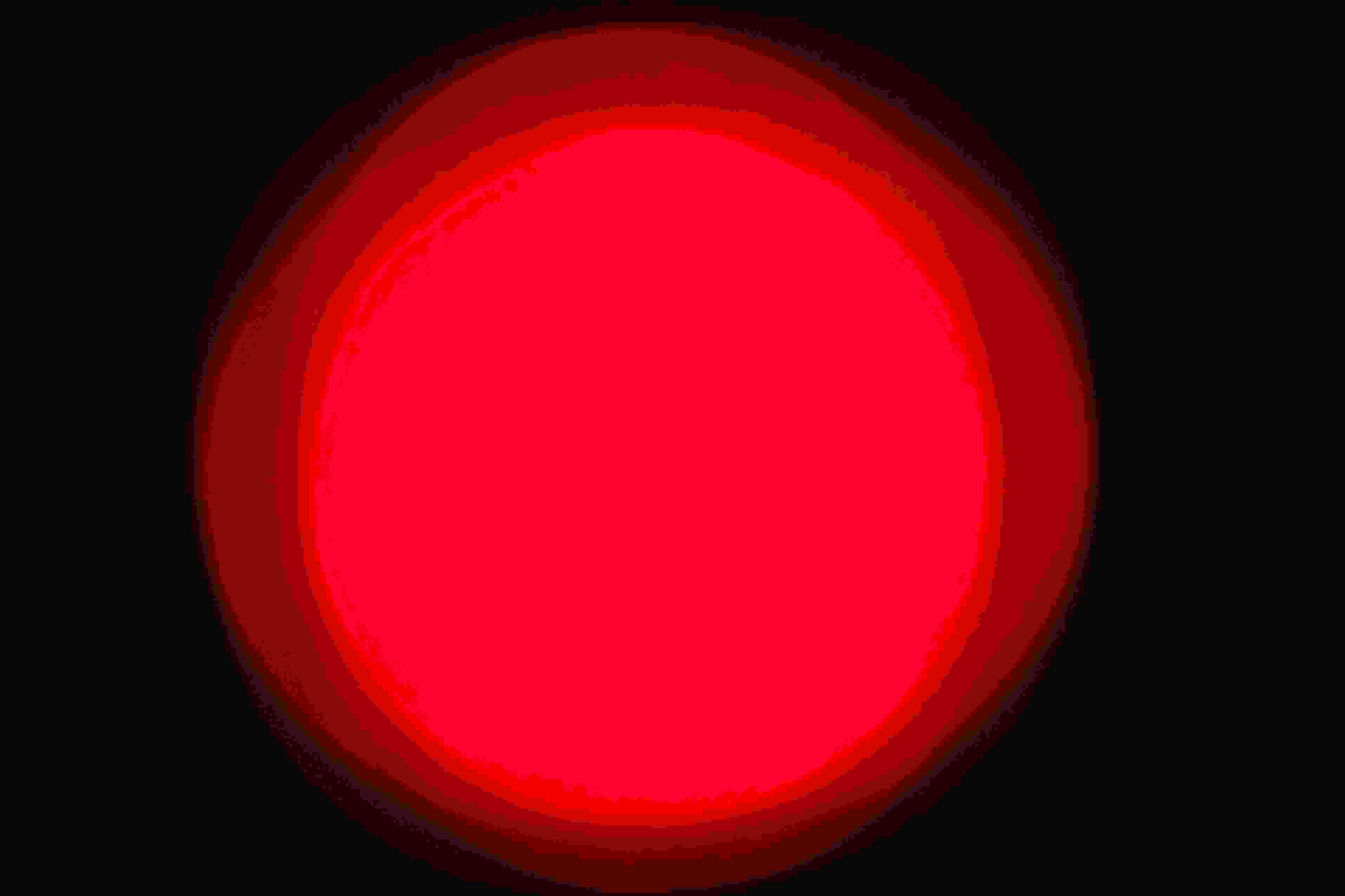 Go to Jackson Wolff's profile