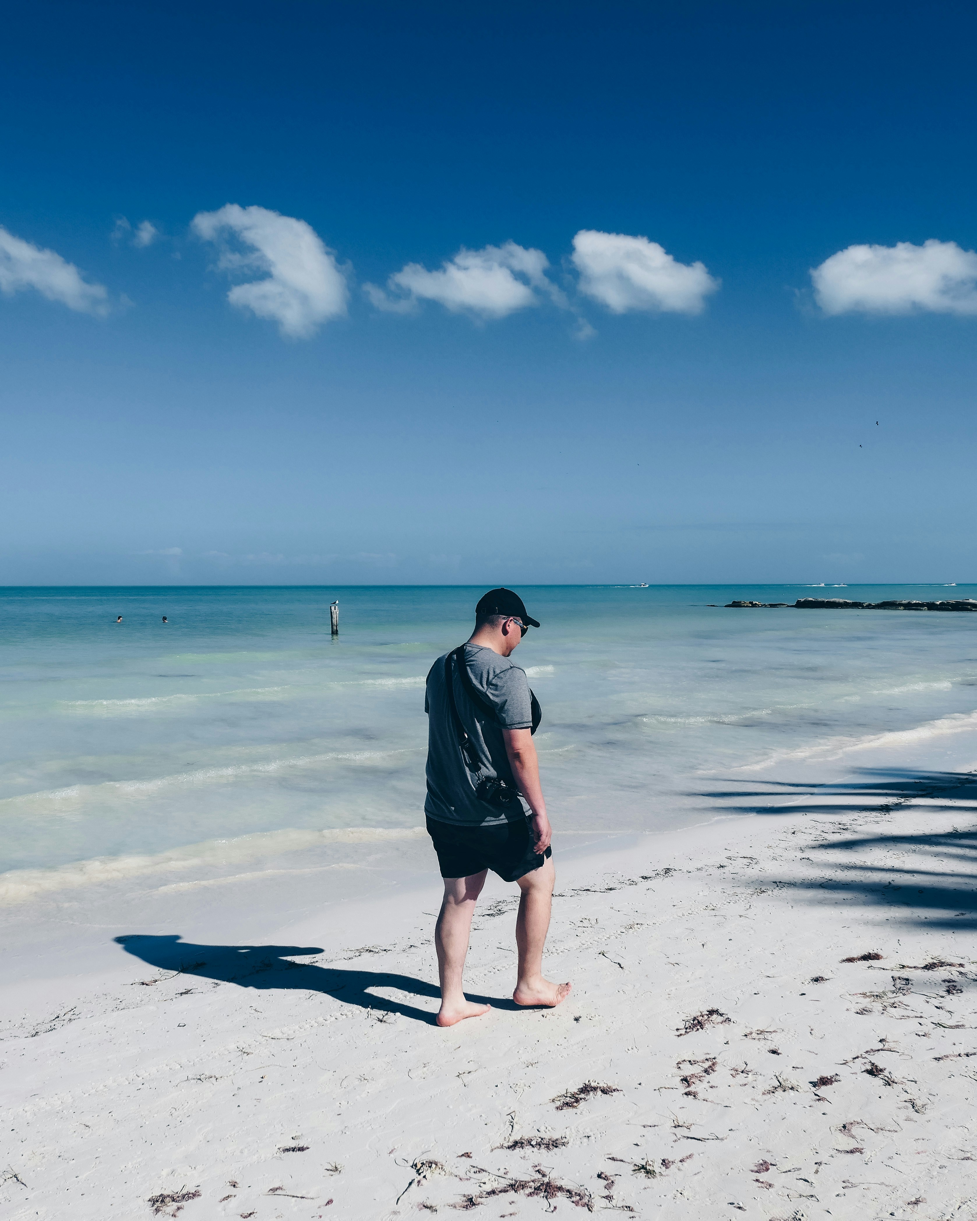 Go to Chris Carzoli's profile