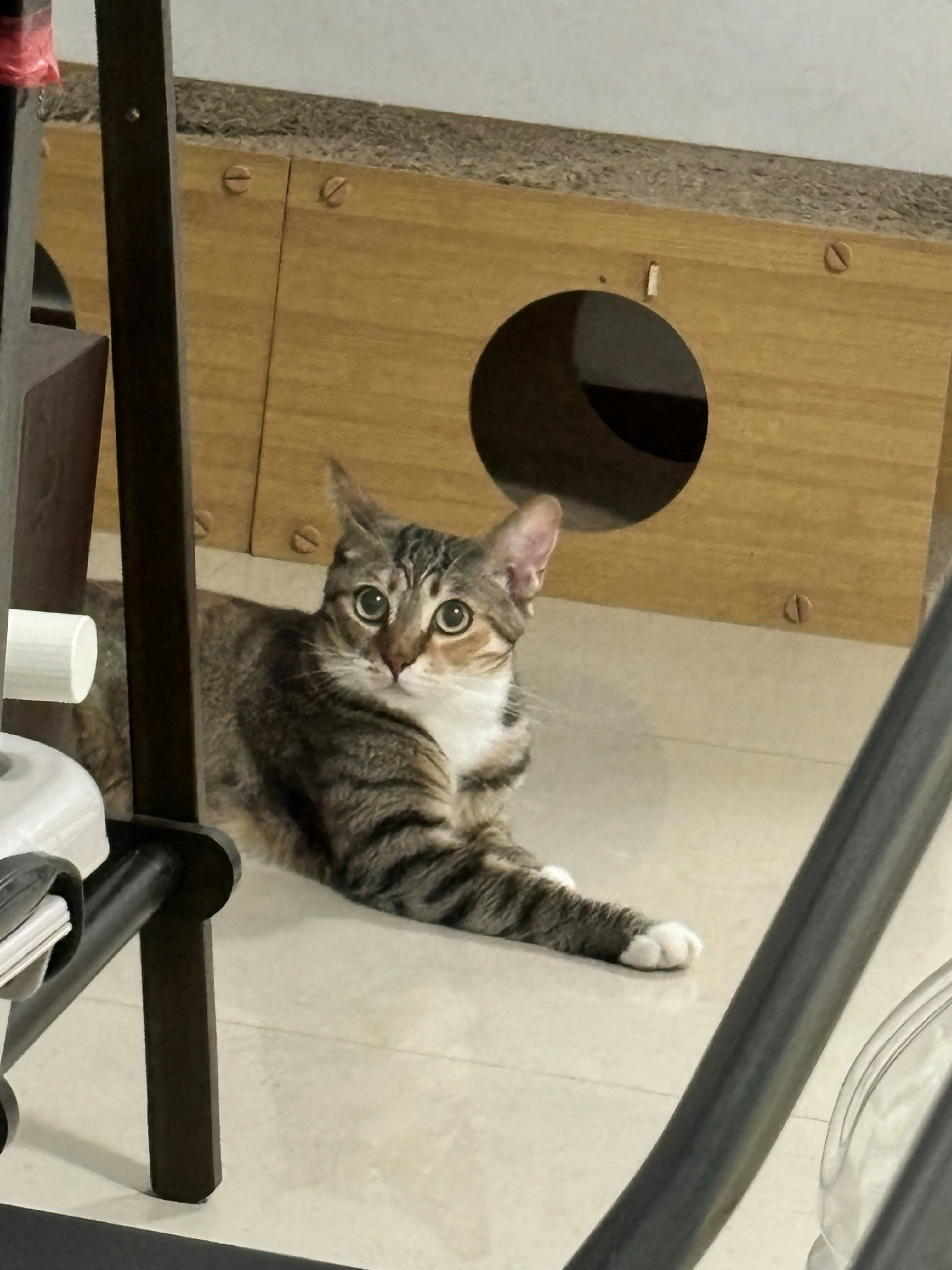 Go to HA1 Zhan's profile