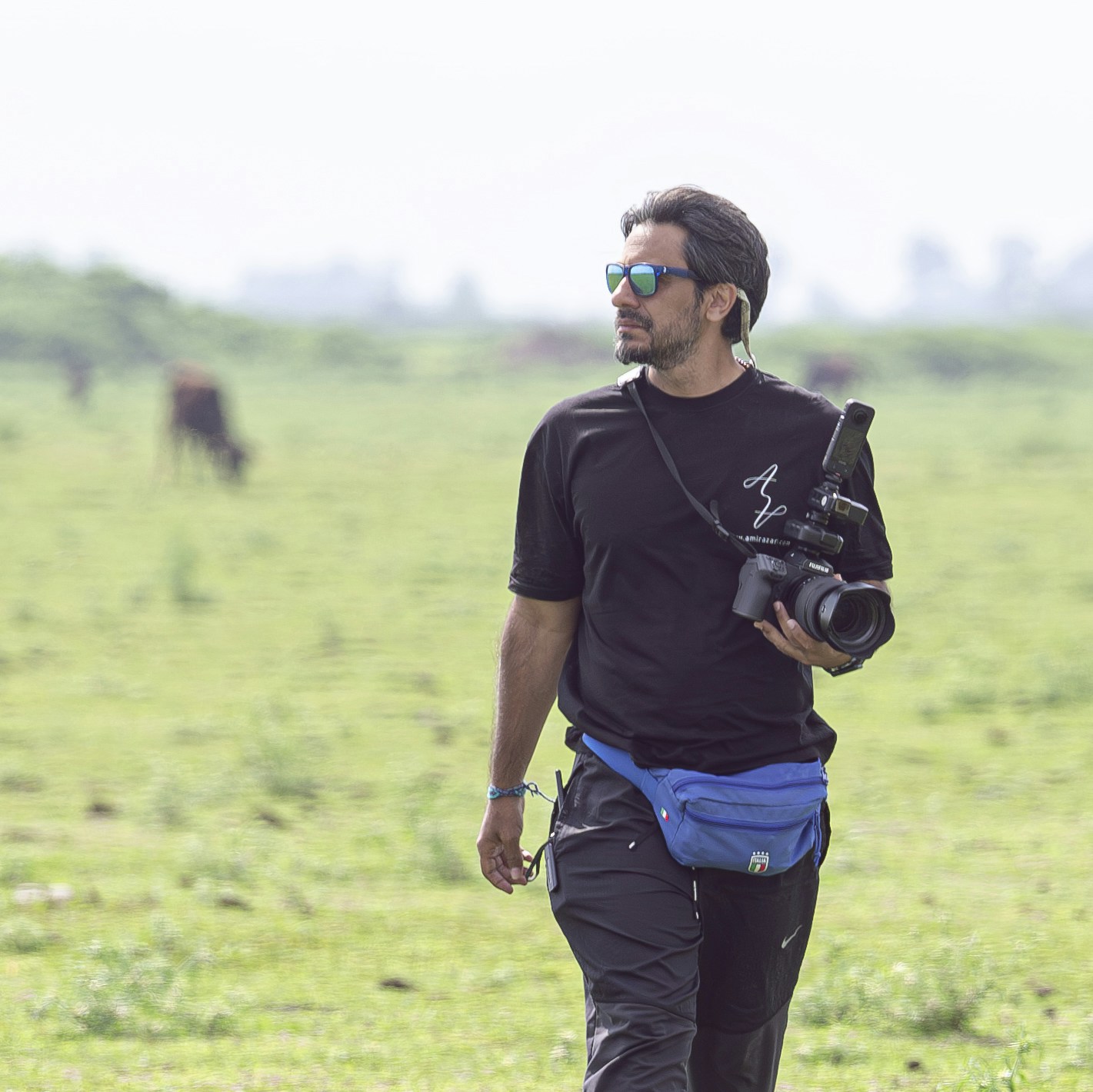 Go to Amir Azari's profile