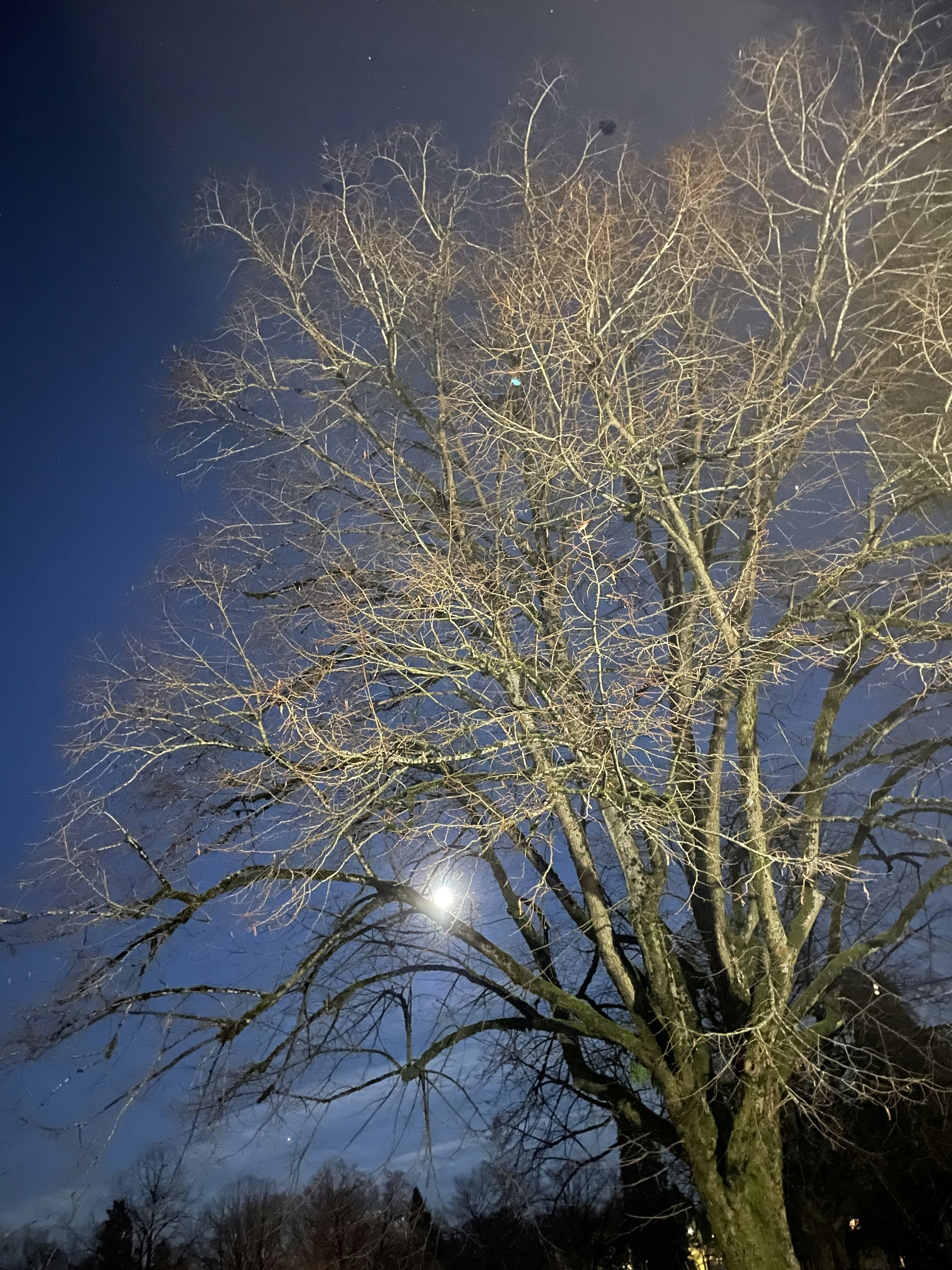 Go to S Mcshane's profile