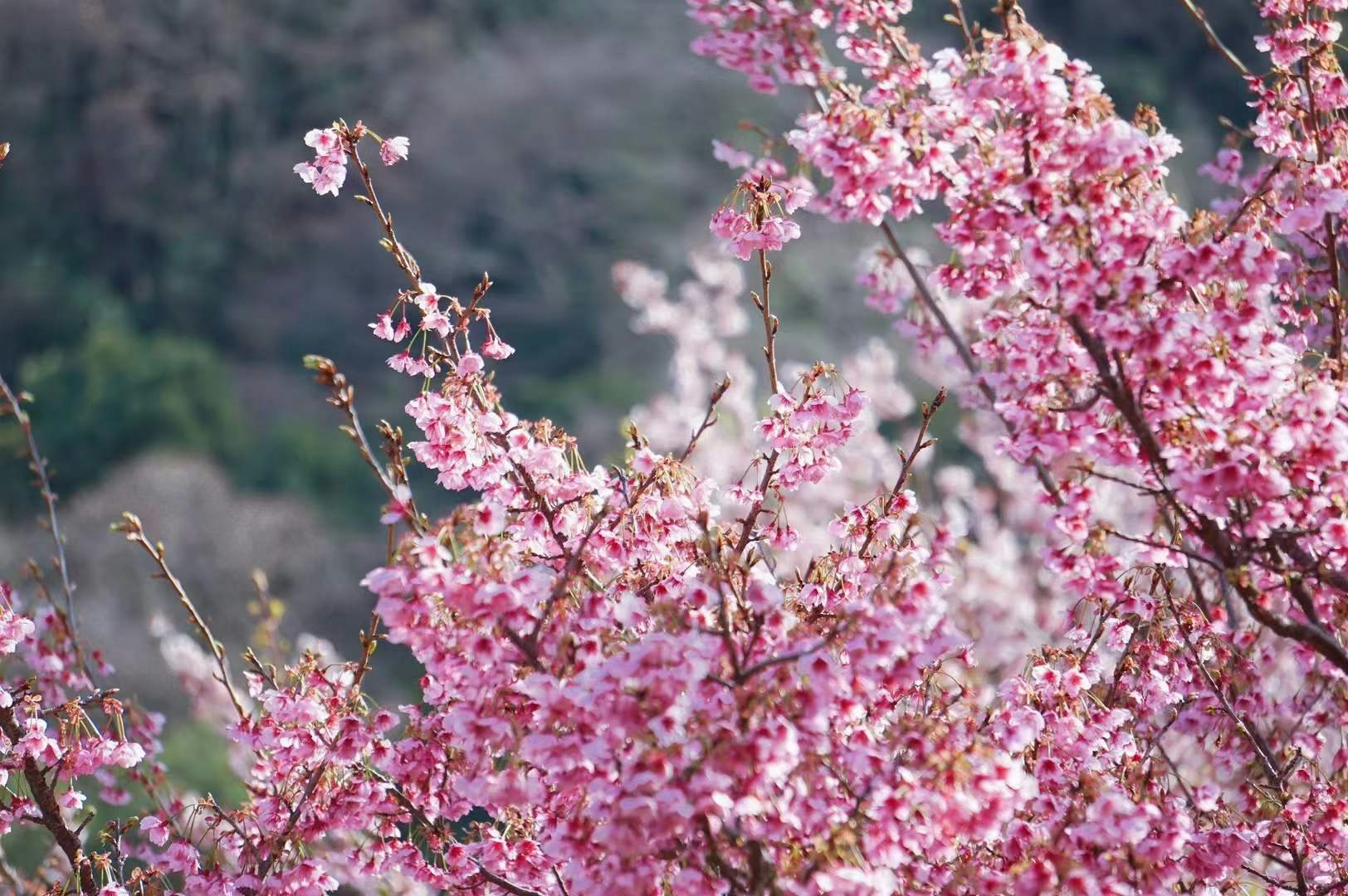 Go to Richard Liu's profile