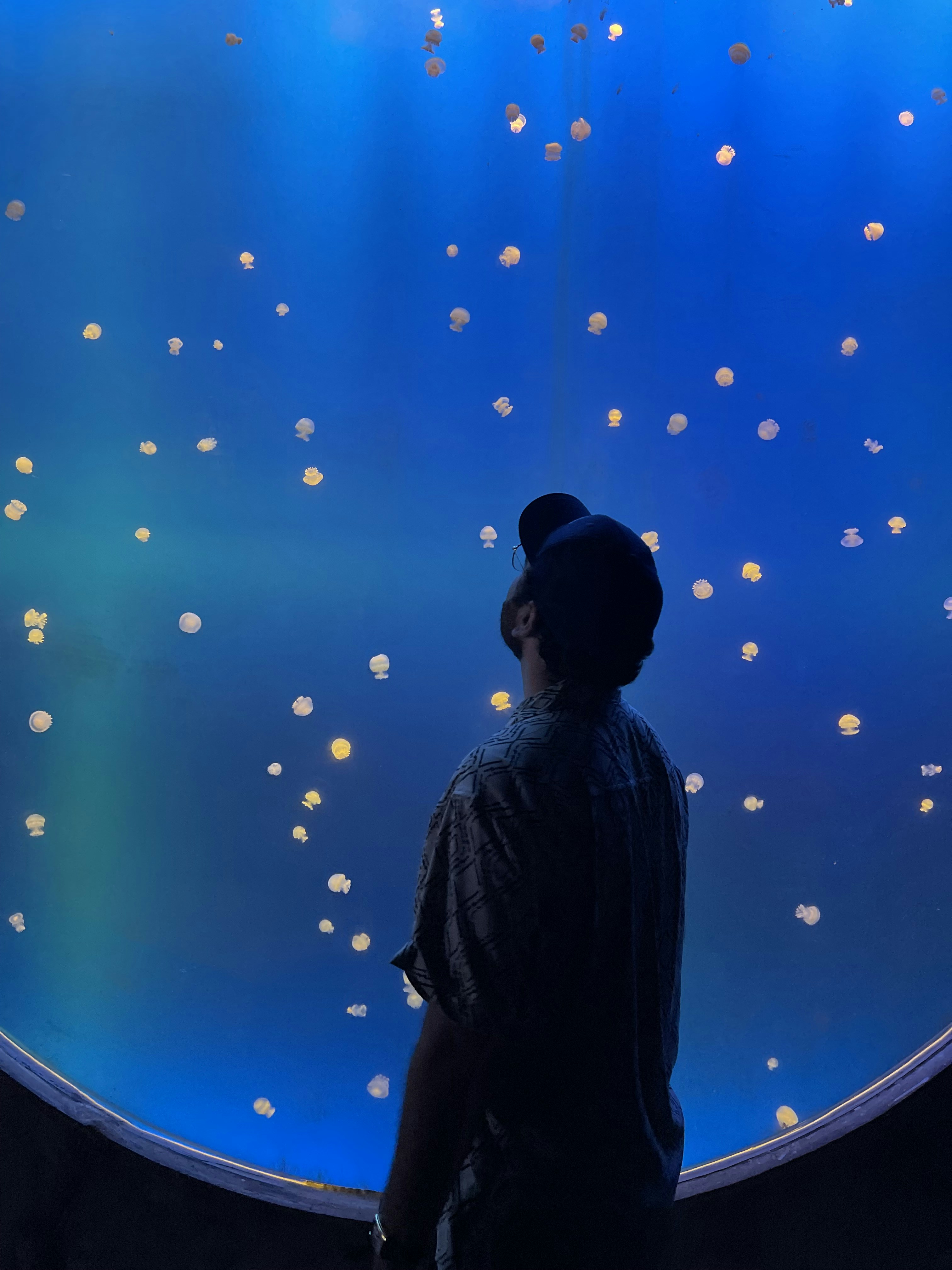 Go to Claudio Alba's profile