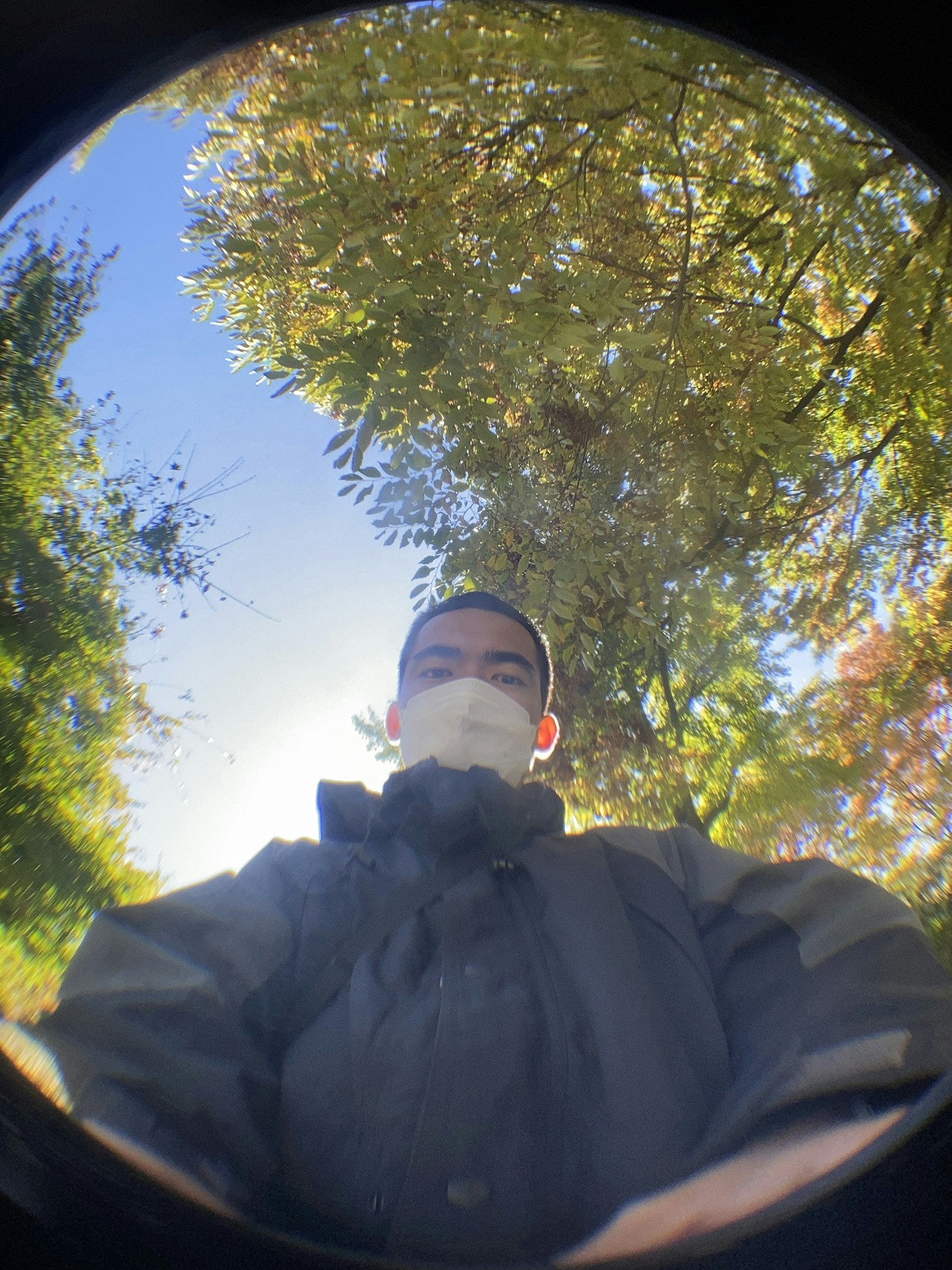 Toan Leのプロフィールを見る