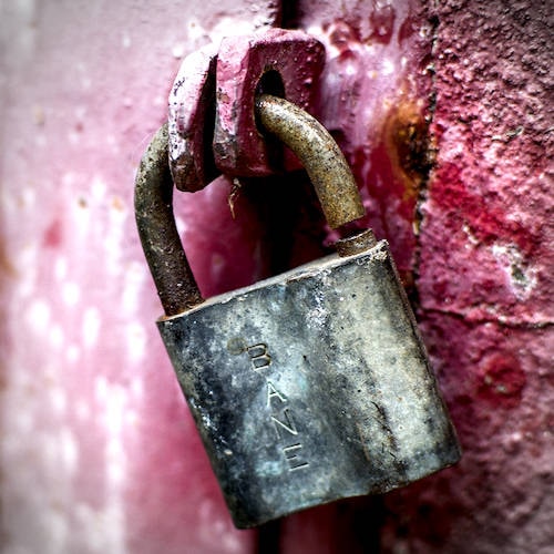 Ve al perfil de Vidak