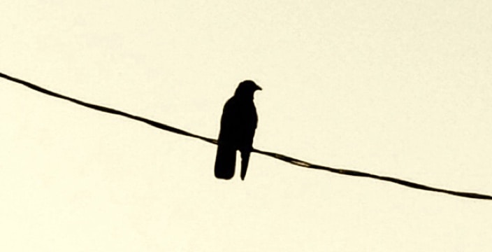 Go to mark tulin's profile