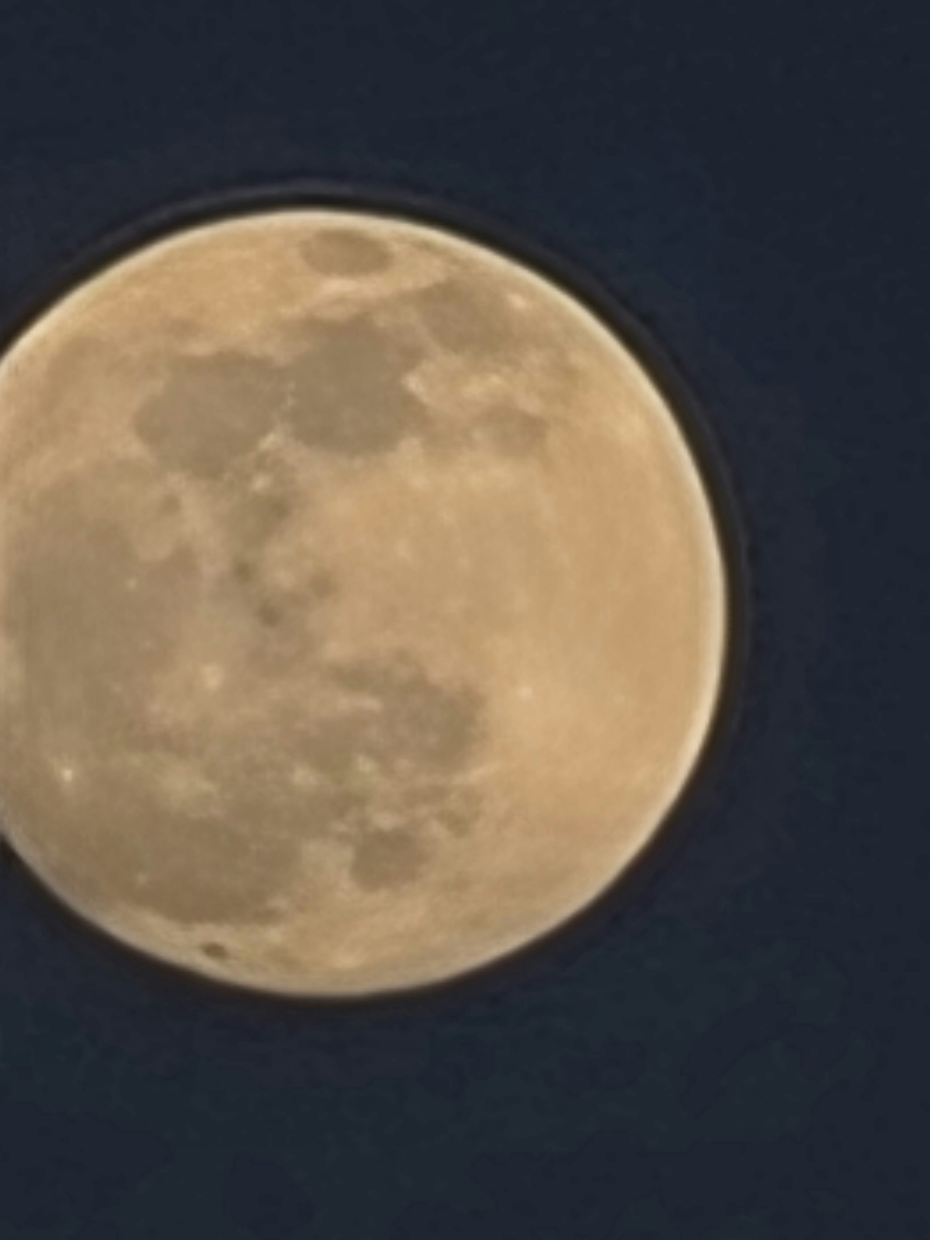 Go to amirhossein's profile