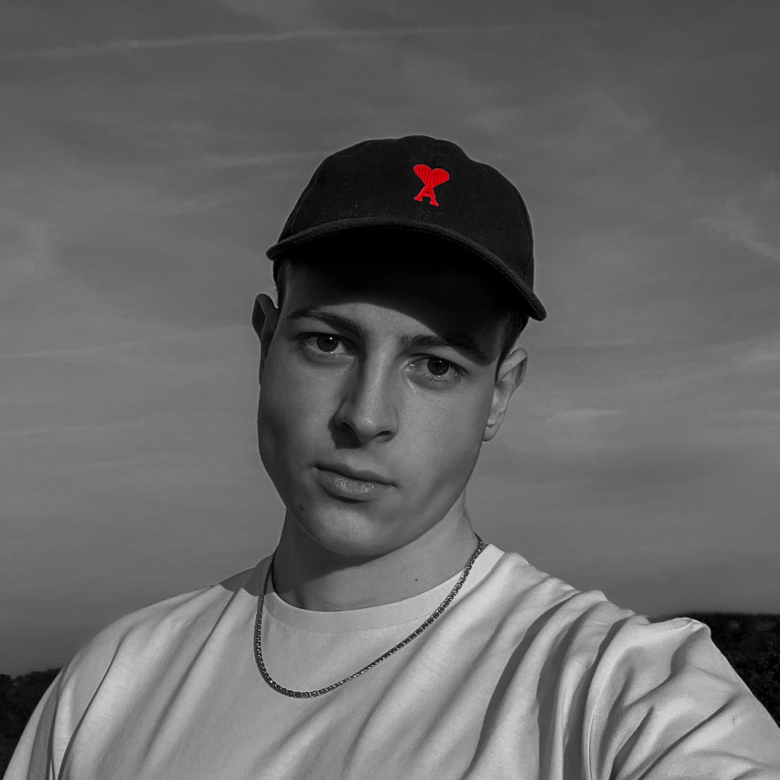 Ve al perfil de Márton Nevihostényi