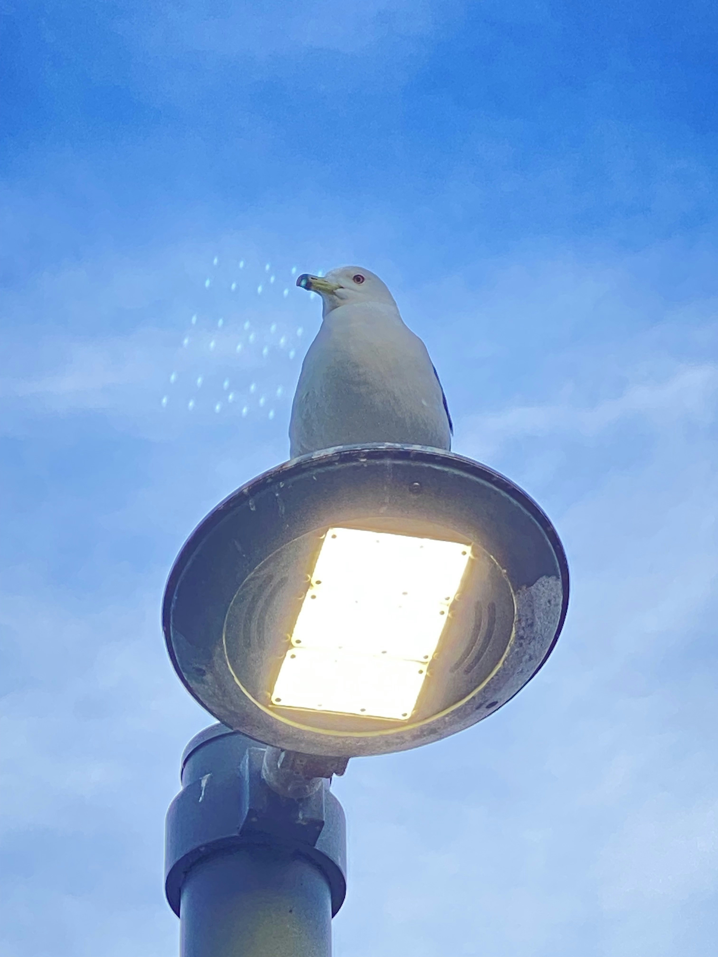 Go to 학우 김's profile