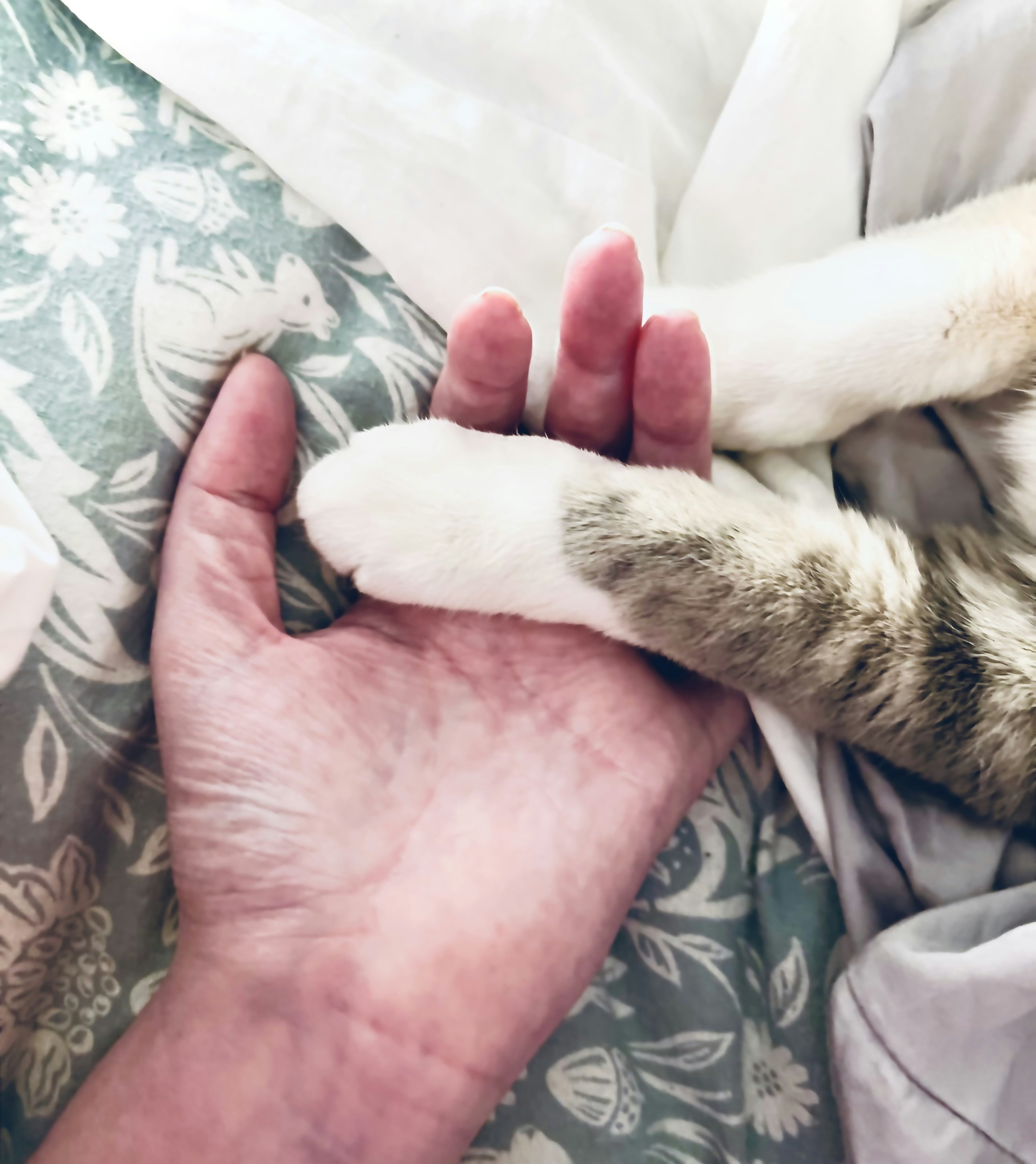 Go to Kate Stone Matheson's profile