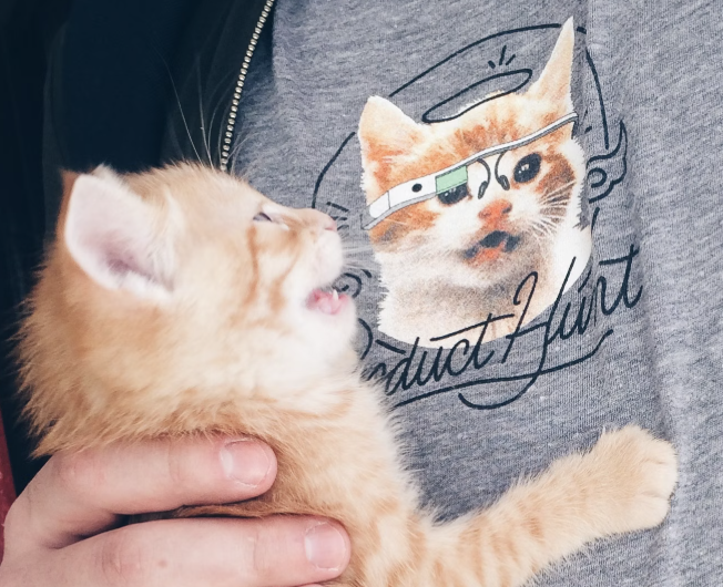 Go to Nikita Bren's profile