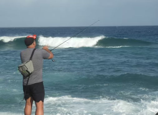 Go to Alyssa Elliott's profile