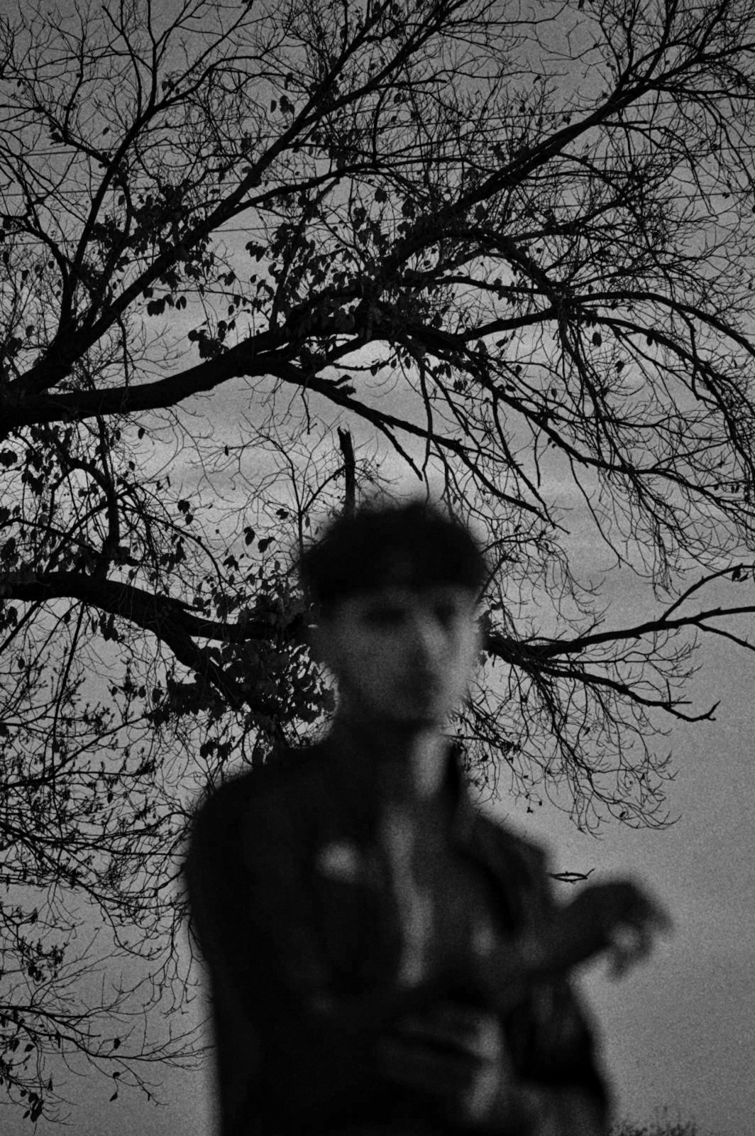 Go to Crow Pic's profile