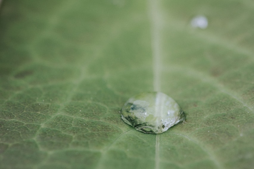 Avatar of user Andreea M.