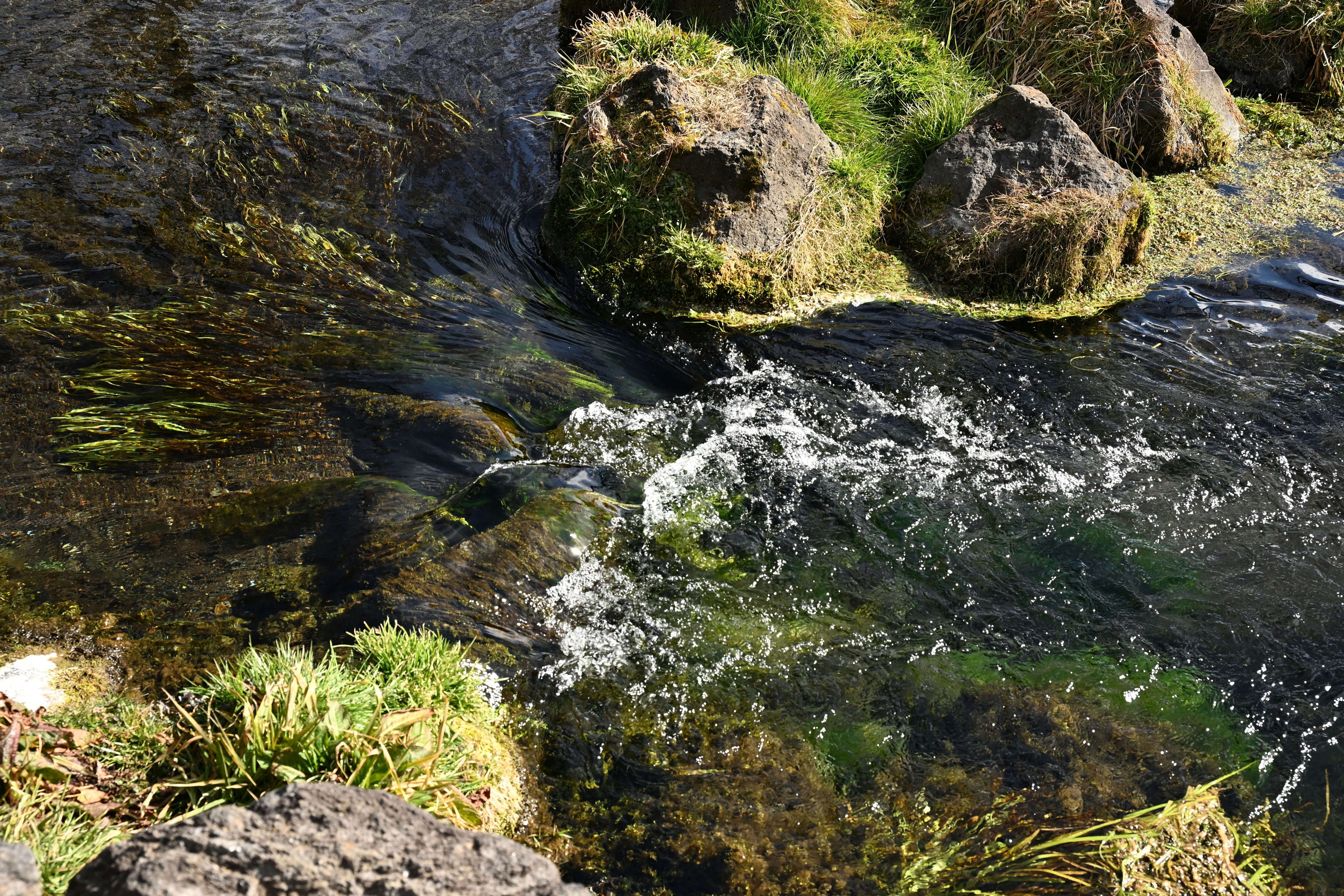 Go to wyman Xu's profile