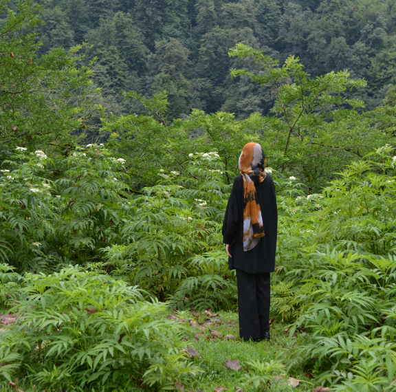 Avatar of user Yasaman Abedini