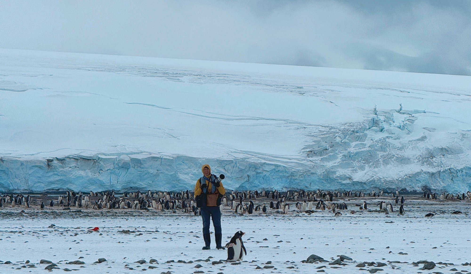 Go to TC Photography's profile