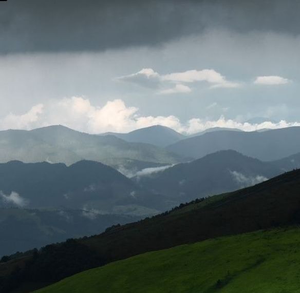 Go to Seven Colors's profile