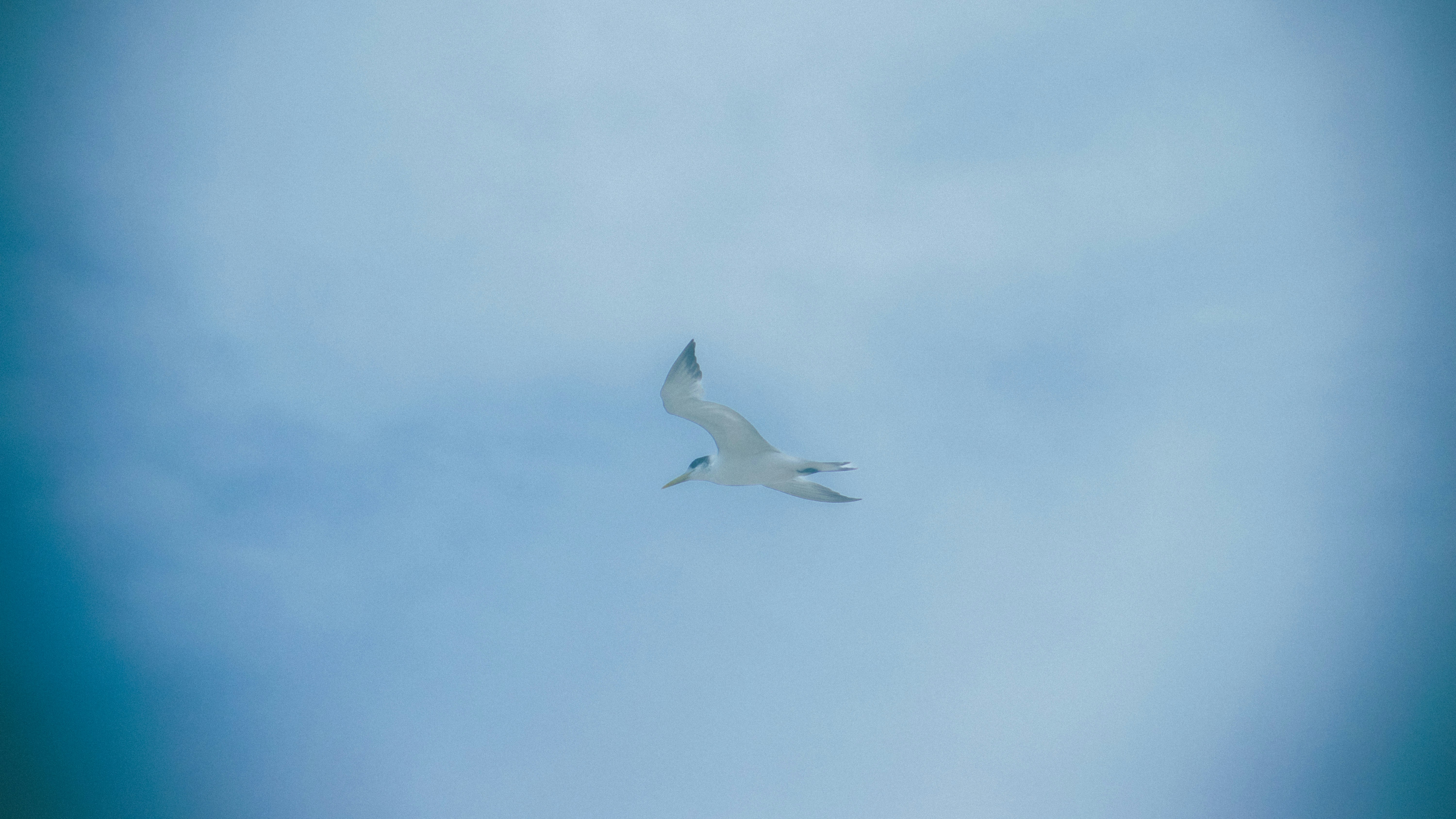 Go to Panashe Tarusenga's profile