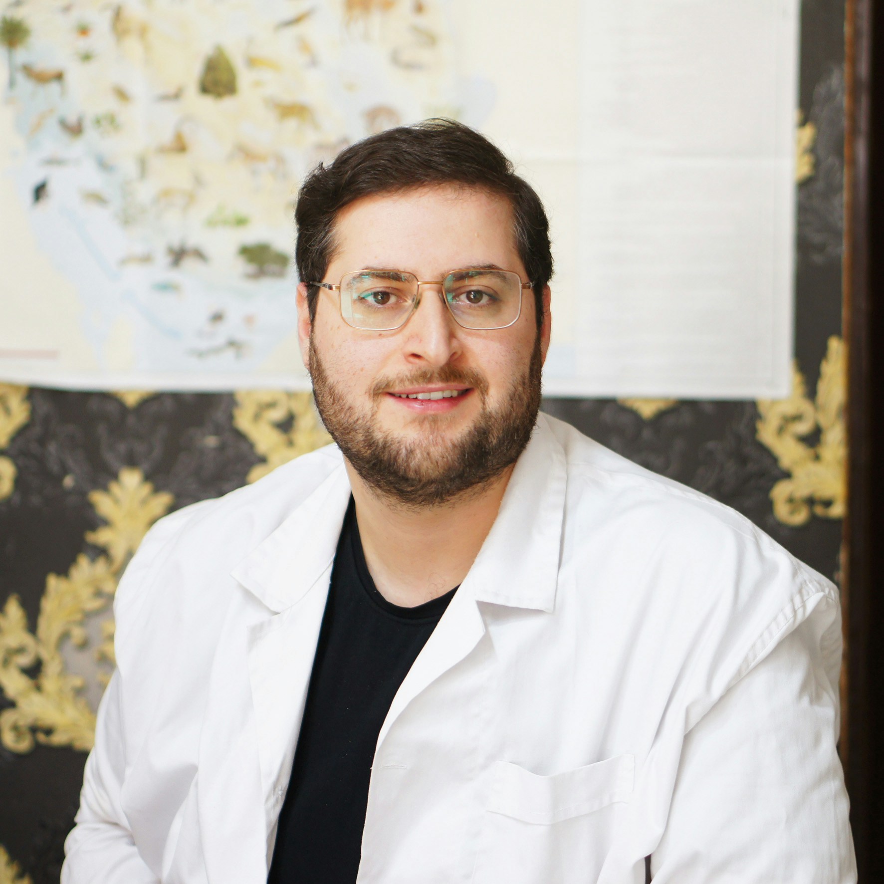 Avatar of user Amirreza Tavassoli