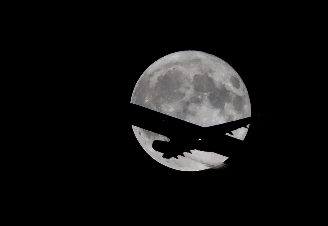 Go to Saban Onay's profile